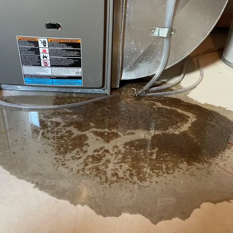 Appliance Leak Cleanup in Pukalani, HI