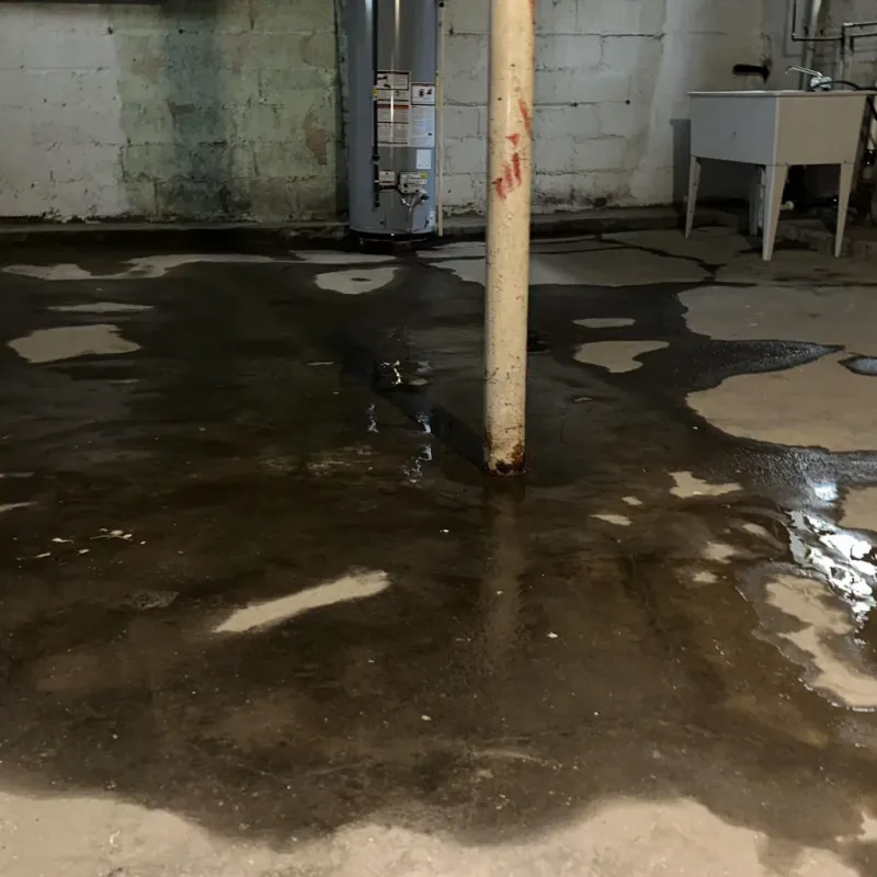 Emergency Water Extraction And Removal in Pukalani, HI